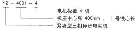 泰富西瑪Y系列三相異步電機型號說明 泰富西瑪Y系列三相異步電機型號說明